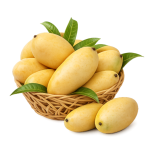 Sindhri Mangoes