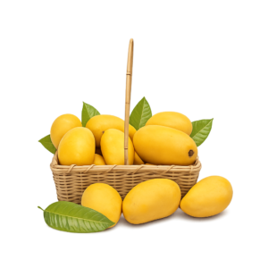 Premium Chaunsa Mangoes – Extra Sweet & Export Quality